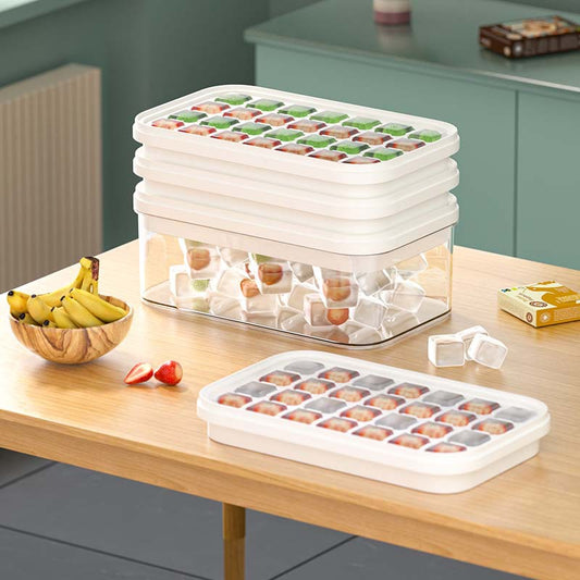 Household Fashion Ice Mold Press Type Storage Box